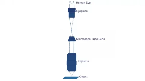 Conjugate Long Working Distance Microscope Objectives - shanghai revamp
